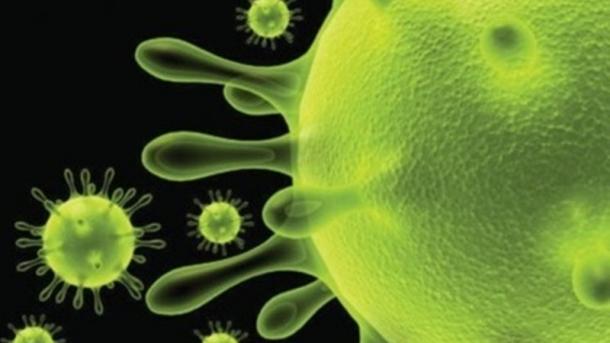 Descubren 44 nuevos virus de los más abundantes en los océanos del mundo
